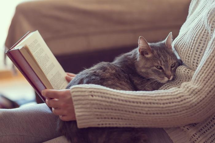 woman read book cat sit on lap