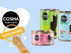 Cosma Cat Food Brand Review