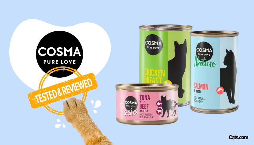Cosma Cat Food Brand Review
