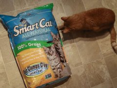 Smart Cat All Natural Lightweight Clumping Grass Litter