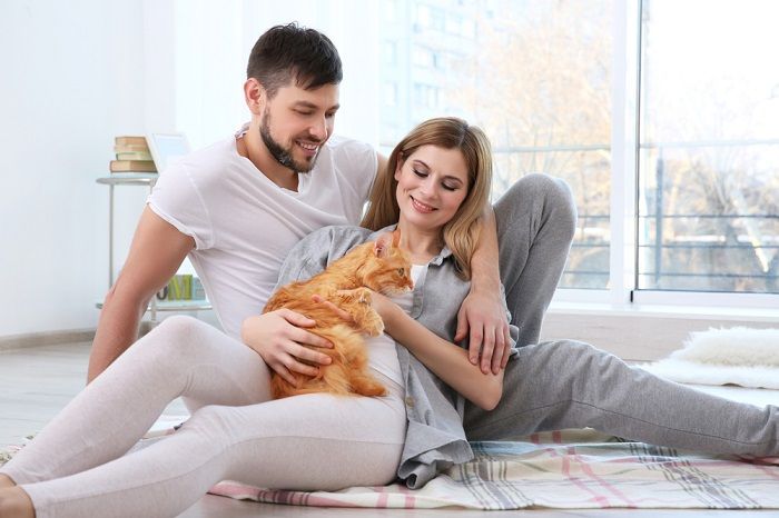 Image showcasing a heartwarming connection between a cat and a couple, symbolizing the shared affection, comfort, and joy that pets can bring to a partnership.