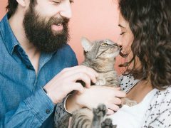 Endearing image capturing a cat and a loving couple together, illustrating the harmonious companionship and happiness that pets can add to a relationship.