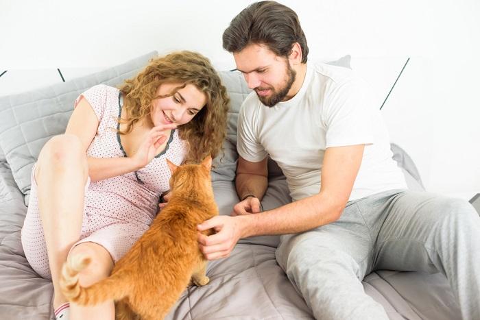 An image capturing a heartwarming moment between a cat and a couple, showcasing the strong bond and affection shared among them as they interact and enjoy each other's company.