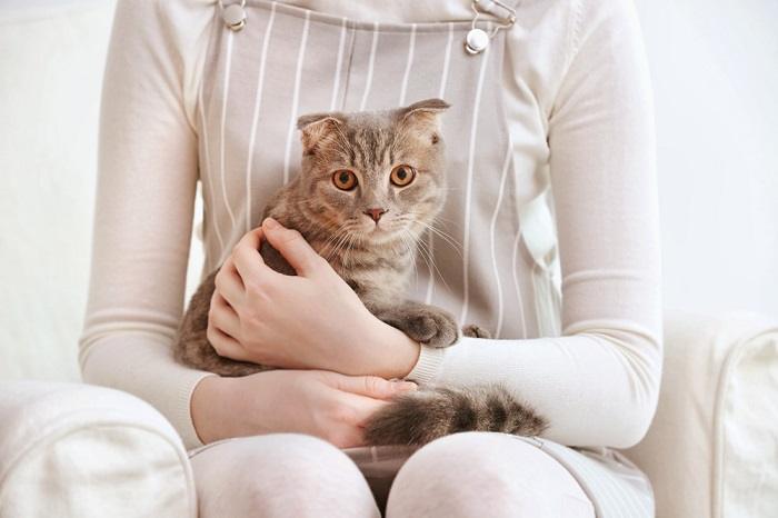 An image capturing a heartwarming scene between a cat and a human.