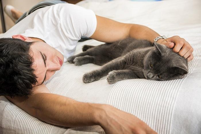Man lying on a bed with a cat