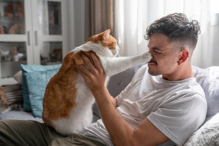 Image of a cat engaging with a man, portraying a delightful interaction that demonstrates the mutual companionship and enjoyment they share.