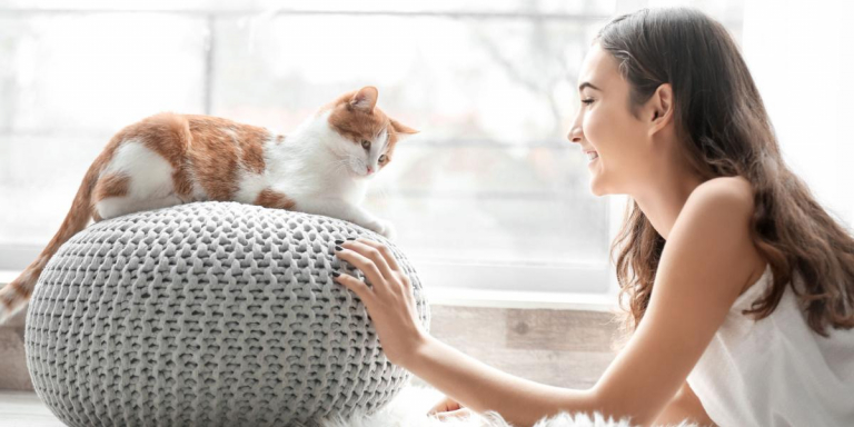 7 Tips on How to Travel Better with Your Cat - Cats.com - Reducing Stressful Cat Travel Experiences