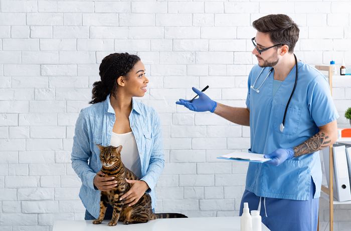 Persona hablando con su veterinario sobre su gato