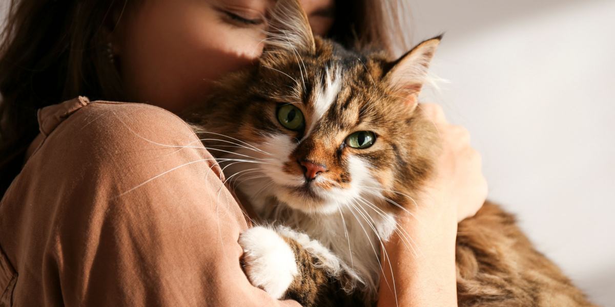 A woman enjoying quality time with her cat, providing affection and companionship to her feline friend.