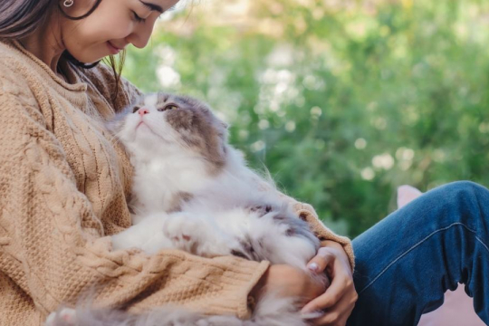 Do Cats Have Feelings for Their Owners?