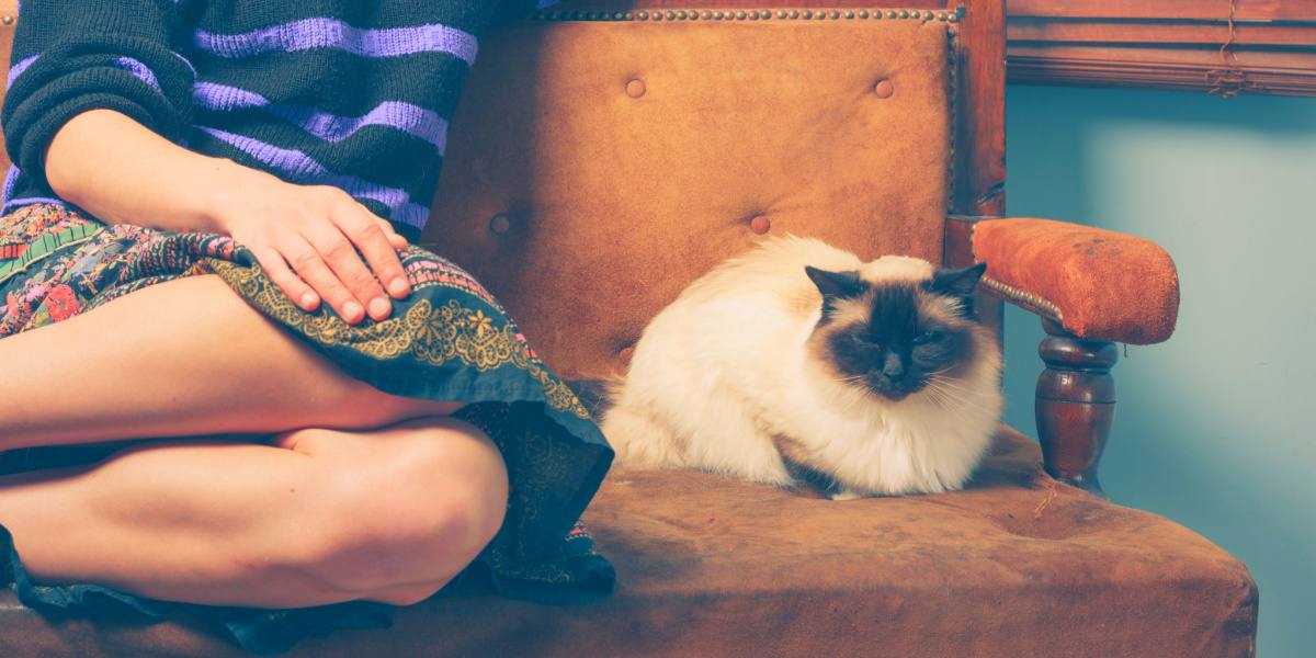 An image depicting a woman interacting with a cat.