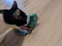 cat chewing toys