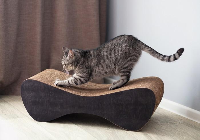 Cat scratching a scratching post