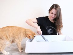 cleaning litter box