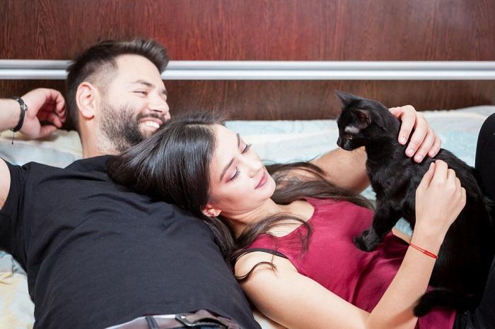 Couple enjoying time with their cat.