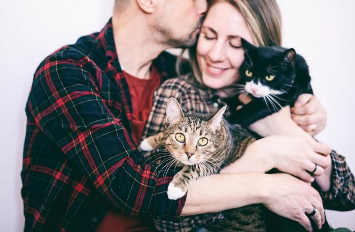 Image capturing a happy couple surrounded by their cats, exemplifying the shared love and fulfillment that multiple feline companions can bring to a household.