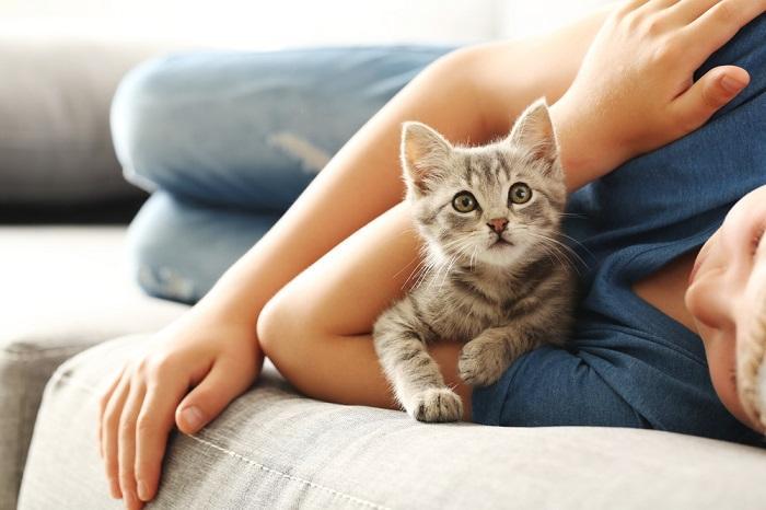 Kitten cuddling with a kid.