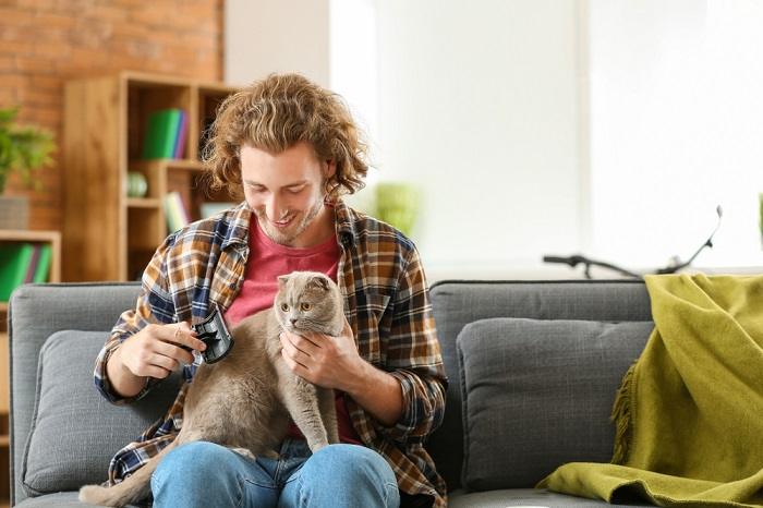 Image depicting a person gently grooming a cat, illustrating the care and attention given to maintaining the cat's well-being and appearance.