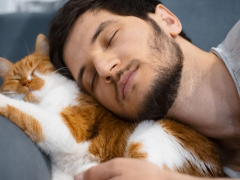 Touching moment between a man and his cat as they share a warm cuddle.