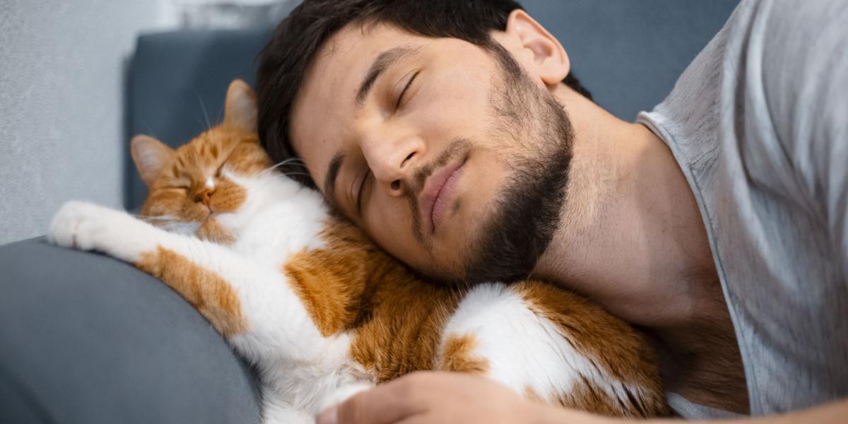 Touching moment between a man and his cat as they share a warm cuddle.