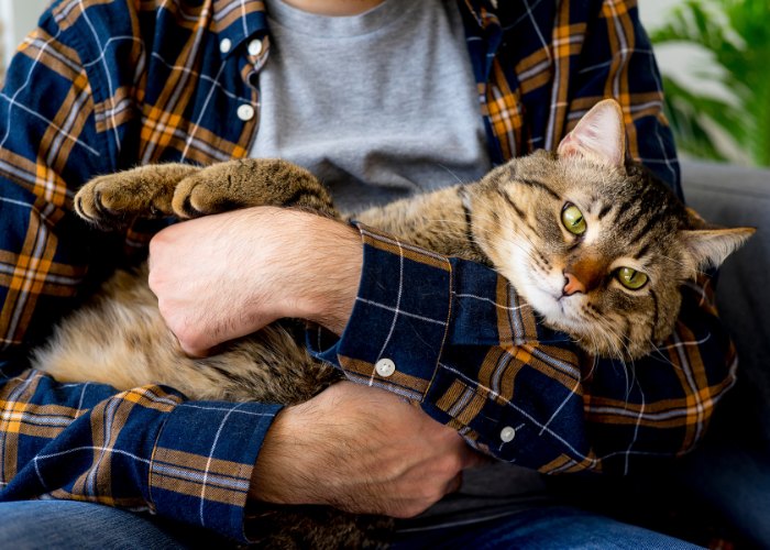 Photo of a man gently holding his cat in his arms, both appearing at ease and forming a close connection in a comfortable setting.