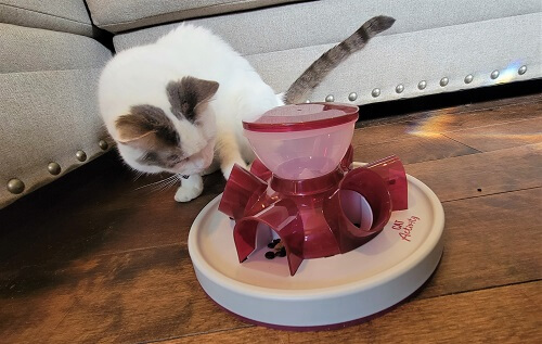 AQluming Cat Puzzle Feeder Cat Treat Toy - Cat Slow Feeder Food