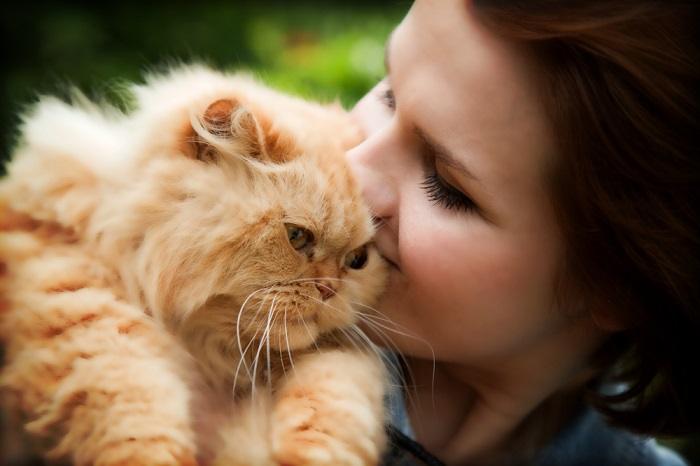 Picture of a Persian cat beside a woman, highlighting the elegance and beauty of this feline breed, as well as the affection between the cat and its owner.
