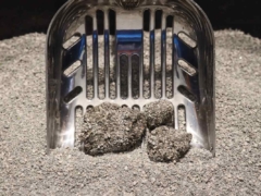 scooping cat litter