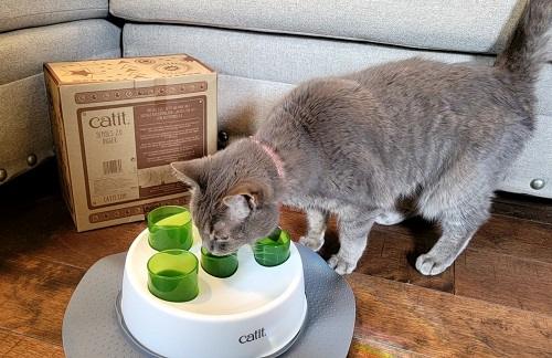 The 10 Best Cat Puzzle Feeders to Keep Your Kitty's Mind Sharp