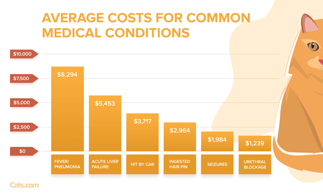 Average Costs for Common Medical Conditions