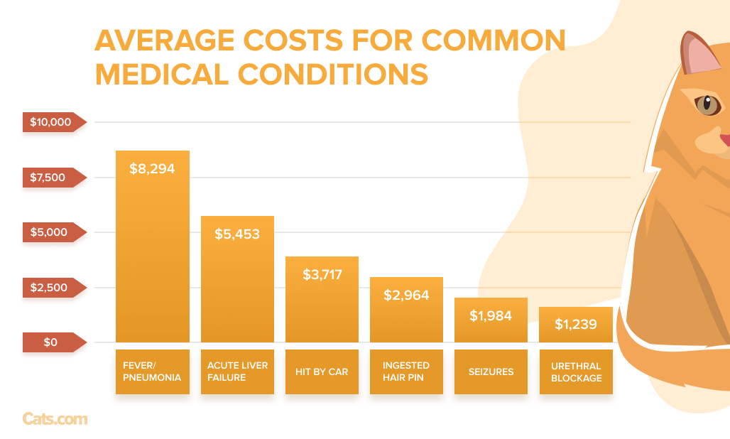 How much cat clearance food cost per month