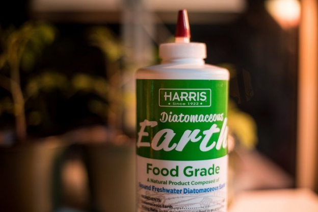 View of Diatomaceous Earth for Cats: Overview, Dosage & Side Effects - Cats.com
