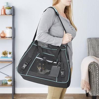 12 Best Cat Carriers 2023