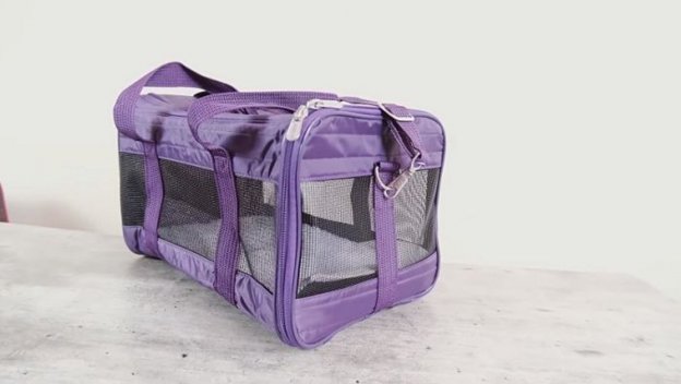 Sherpa original delux パープル ペットソフトキャリーバッグ Unbiased Sherpa Original Deluxe Pet Carrier Review - Cats.com