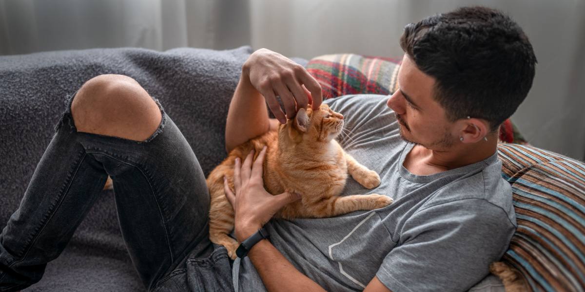 Cat and man sharing a moment.