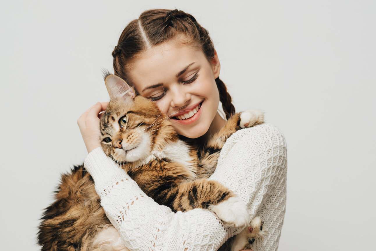 Image showcasing a patient cat being lovingly embraced by its owner, highlighting a tender moment of human-animal connection and affection.