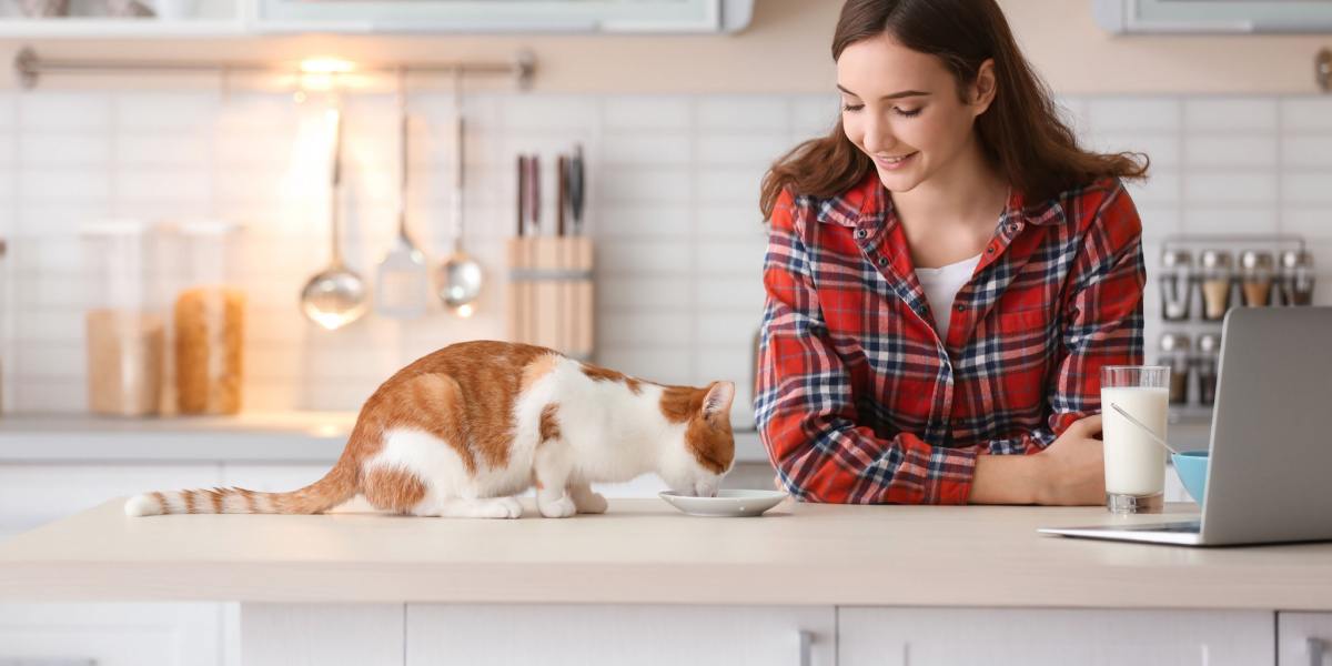 The image portrays a cat and a woman engaging in a mealtime interaction, illustrating the companionship and bond between humans and their feline companions.