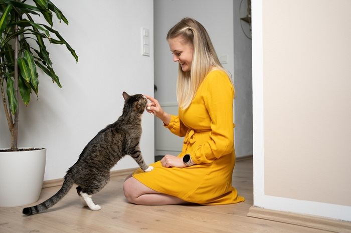 Cat showing affection by licking a woman's hand, demonstrating a bond of trust and companionship.
