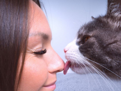 Cat affectionately licking a woman's nose, demonstrating a tender bond and grooming behavior.