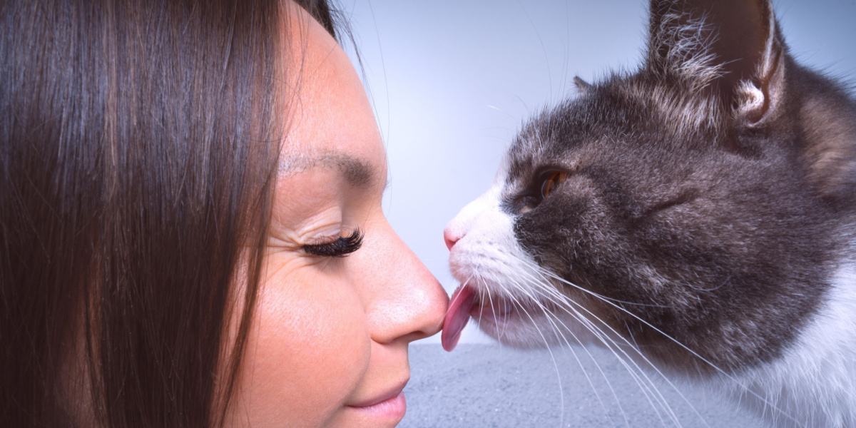 Cat affectionately licking a woman's nose, demonstrating a tender bond and grooming behavior.