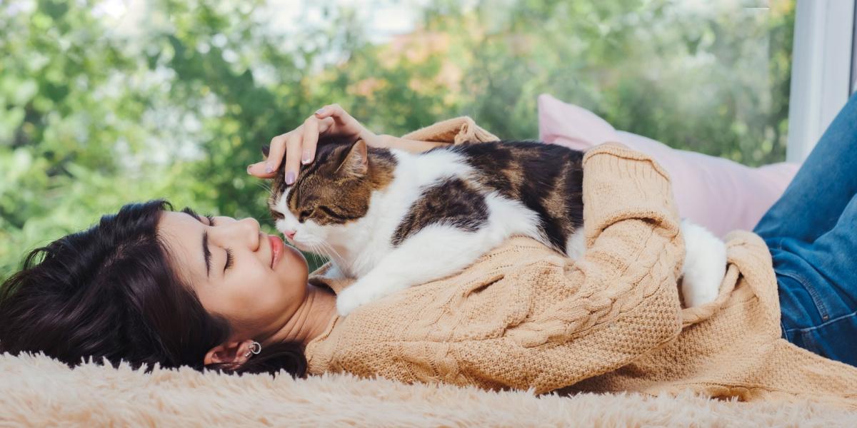 Cat snuggle clearance blanket