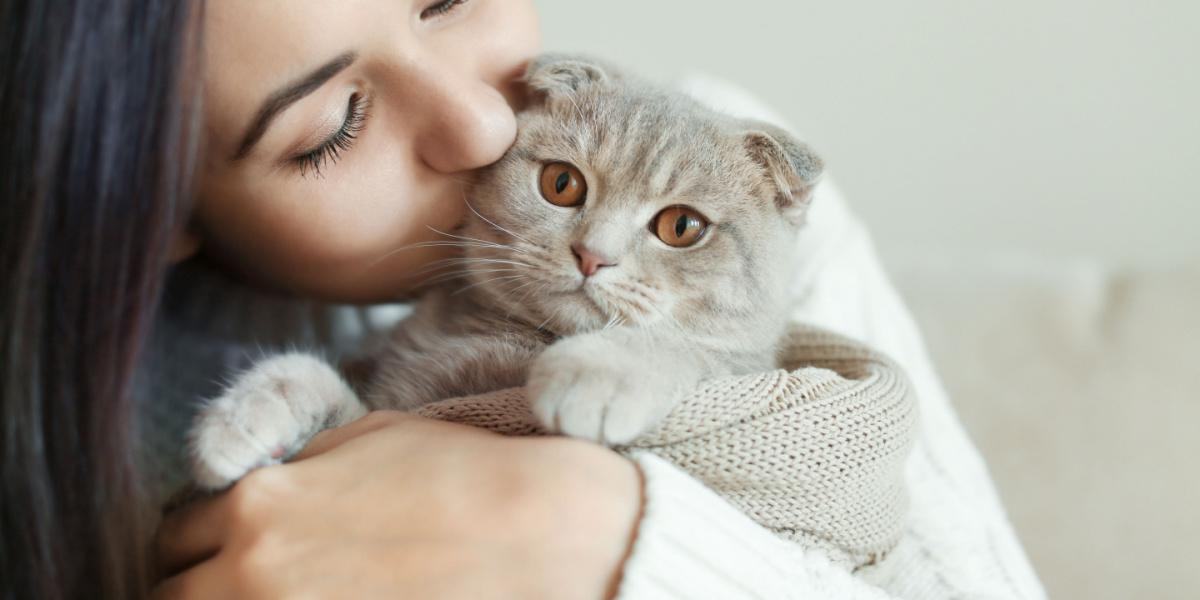 An endearing image of a person gently kissing their cat.