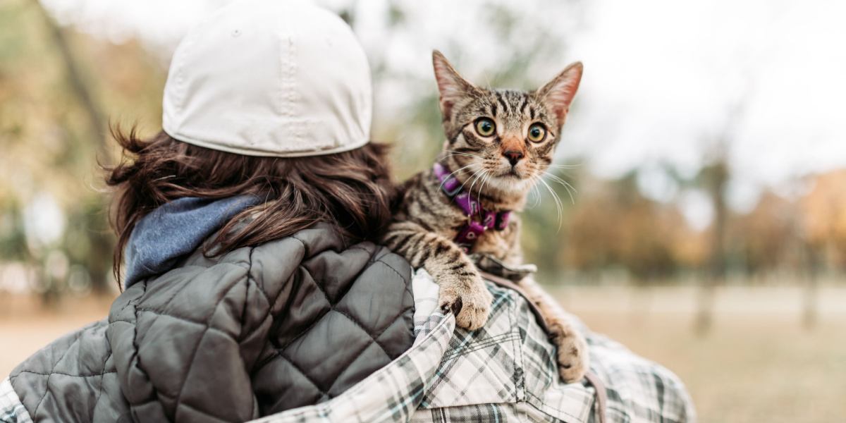 Image of a man carrying a calm and content-looking cat in his arms, both walking together against a scenic backdrop.