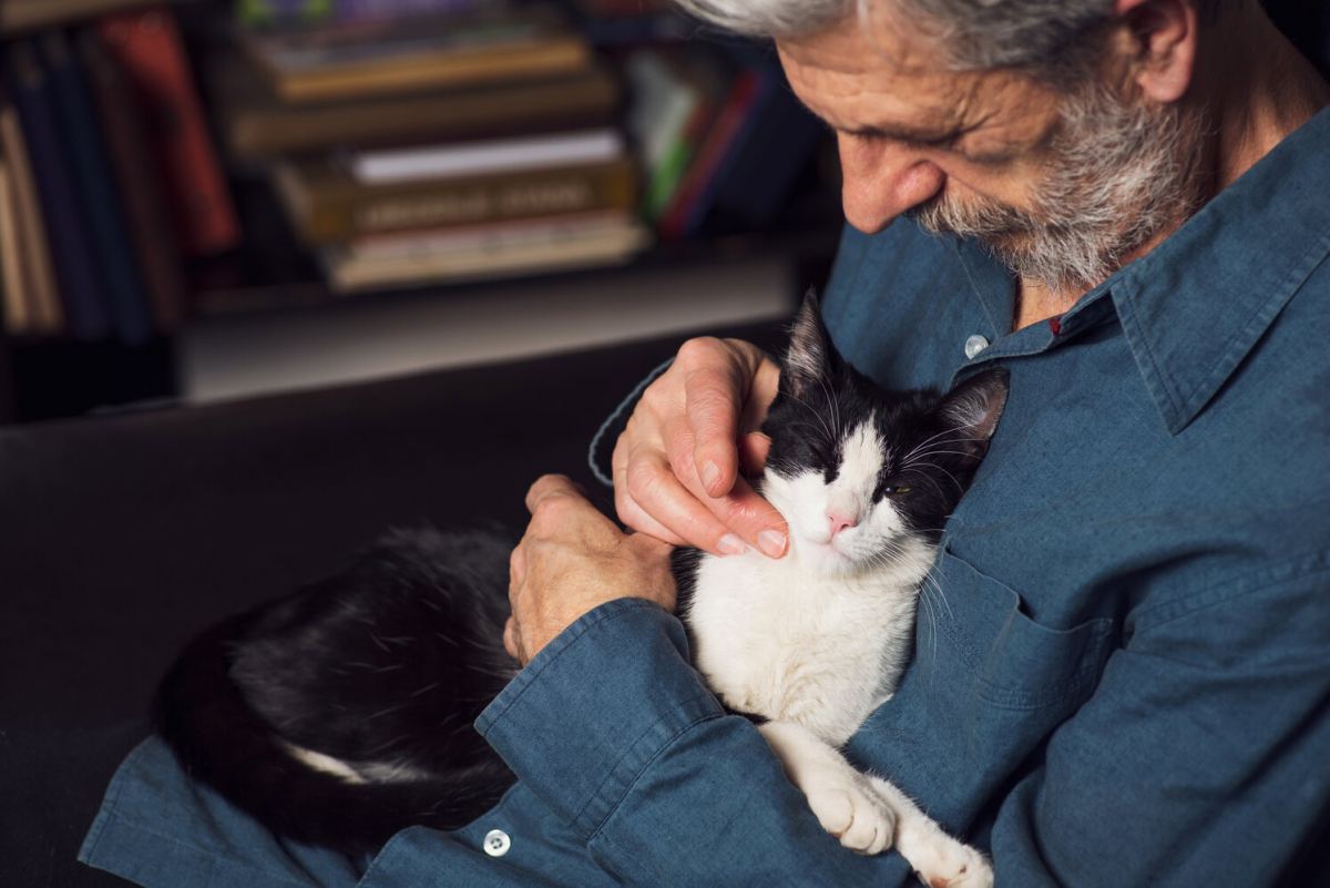 Analysis Suggests Cats Take pleasure in Spending Time With People Over Cats