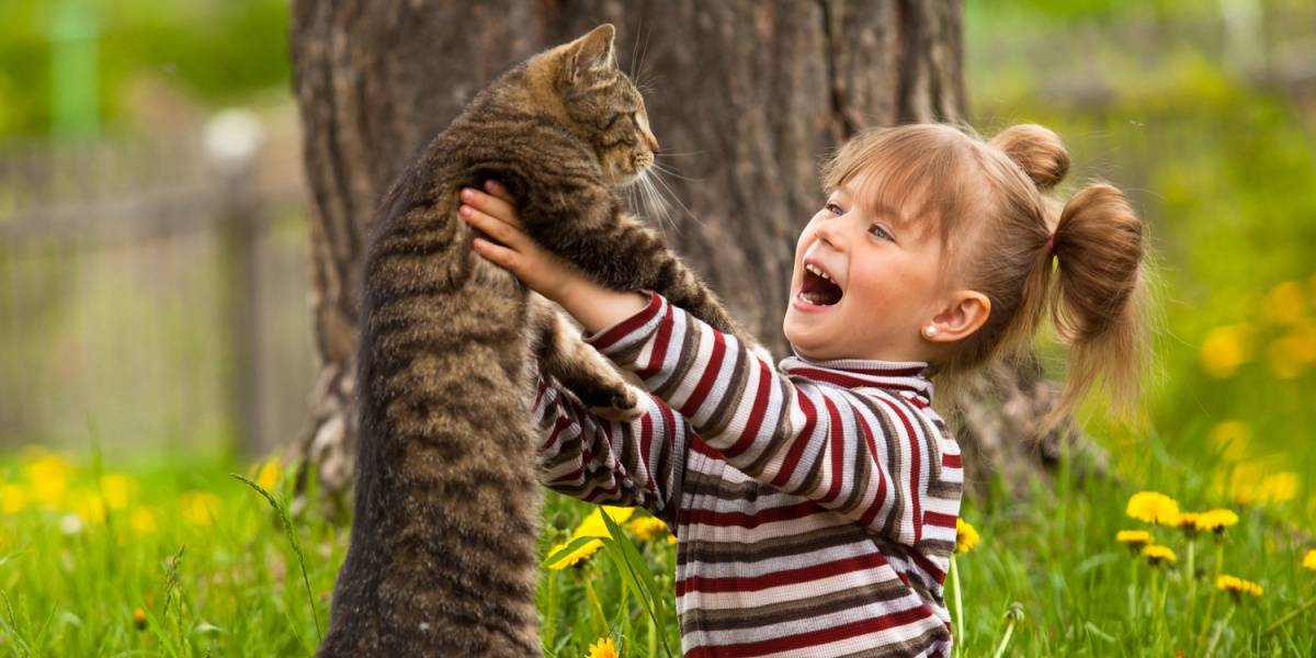 little girl playing with a cat.