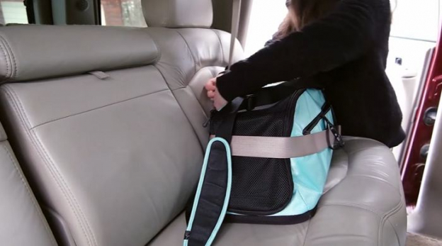 7 Tips on How to Travel Better with Your Cat - Cats.com - Nervous Cat Travel Method Equipment