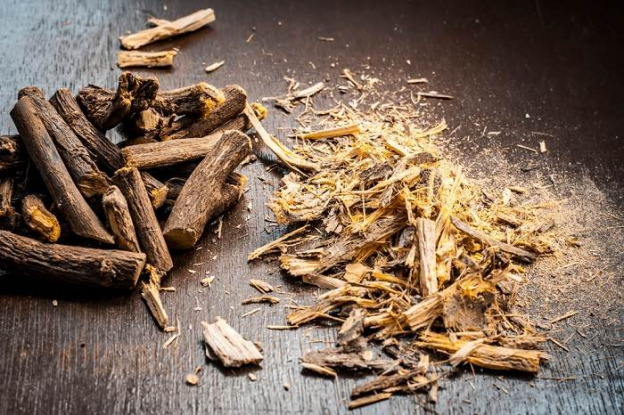 View of 10 Herbs That Are Toxic to Cats (And 7 That Are Safe) - Cats.com