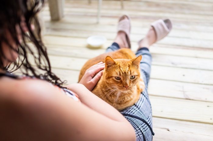 Young woman sitting on floor holding in arms lap cat