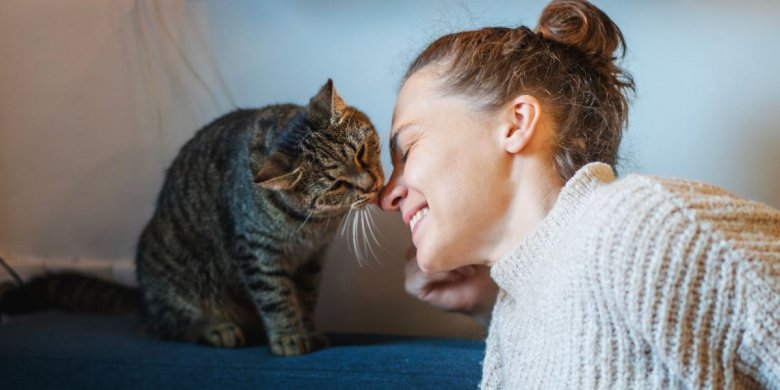 Do Cats Feel Empathy? - Cats.com