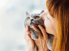 An image capturing a heartwarming moment of a person kissing their cat.